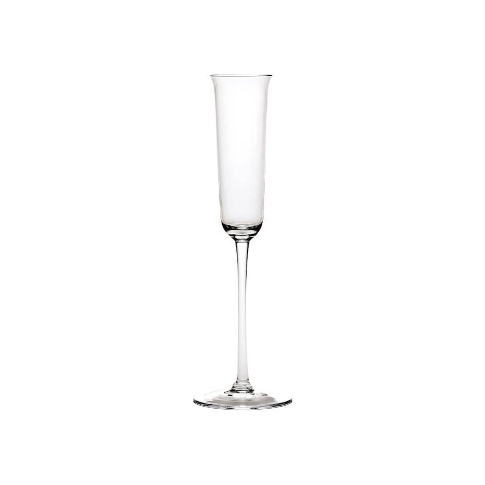 Champagne Glass Transparent Grace