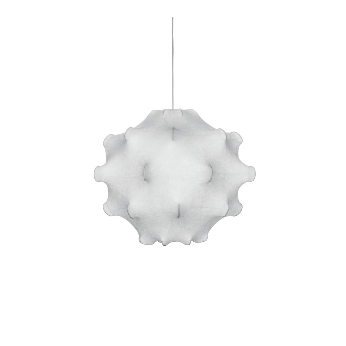 Taraxacum 1 White