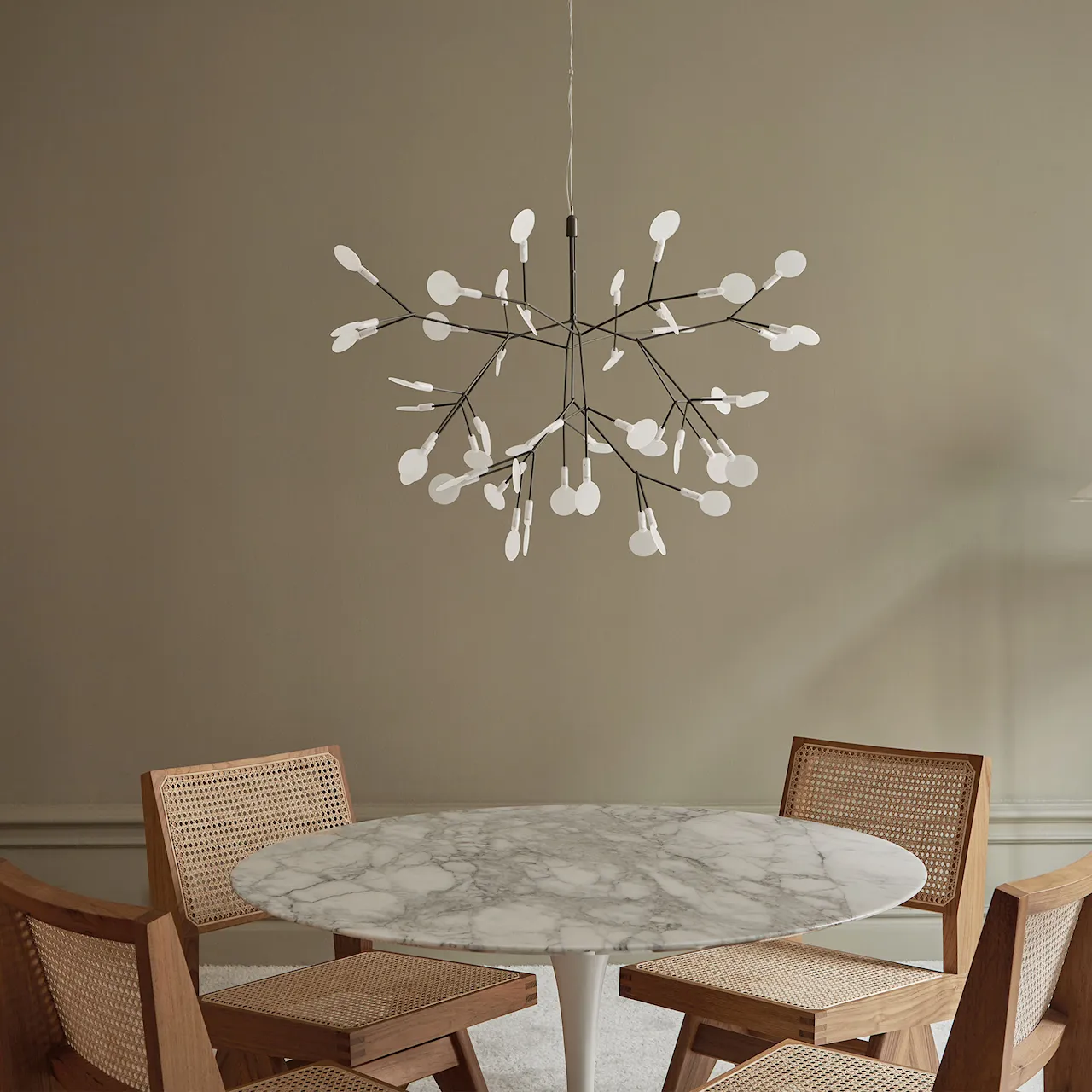 Heracleum III Small