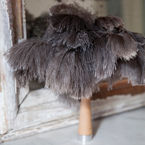 How to Clean Your Feather Duster ? - Andrée Jardin