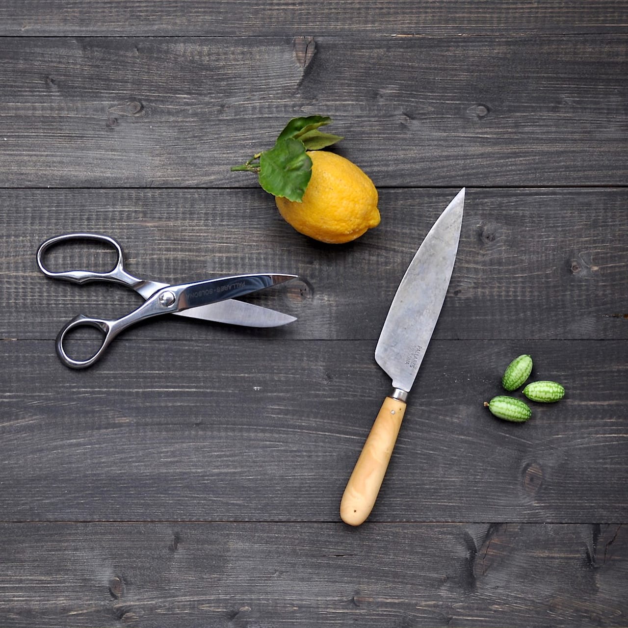 Pallarès Professional Kitchen Scissors